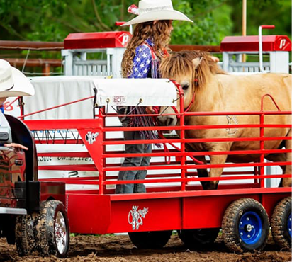 Cowboy toys best sale power wheels